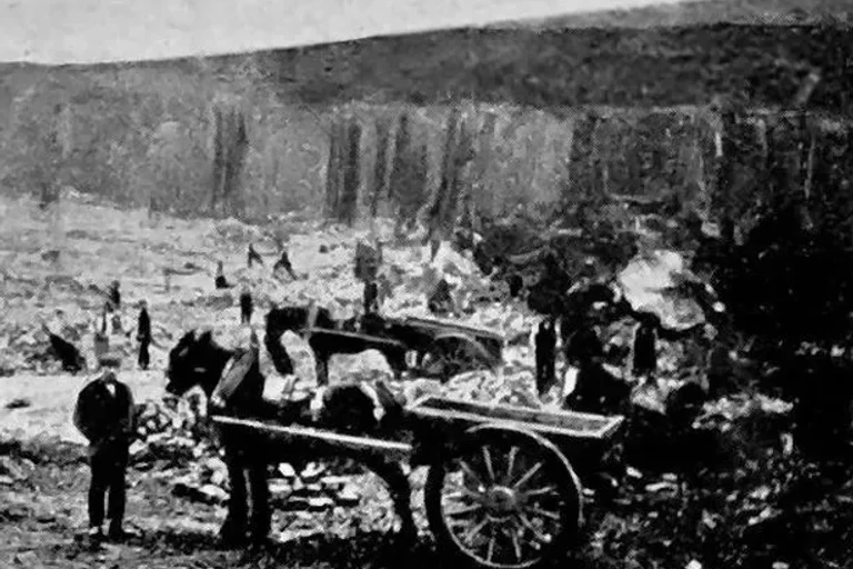 Quarry horses jpg